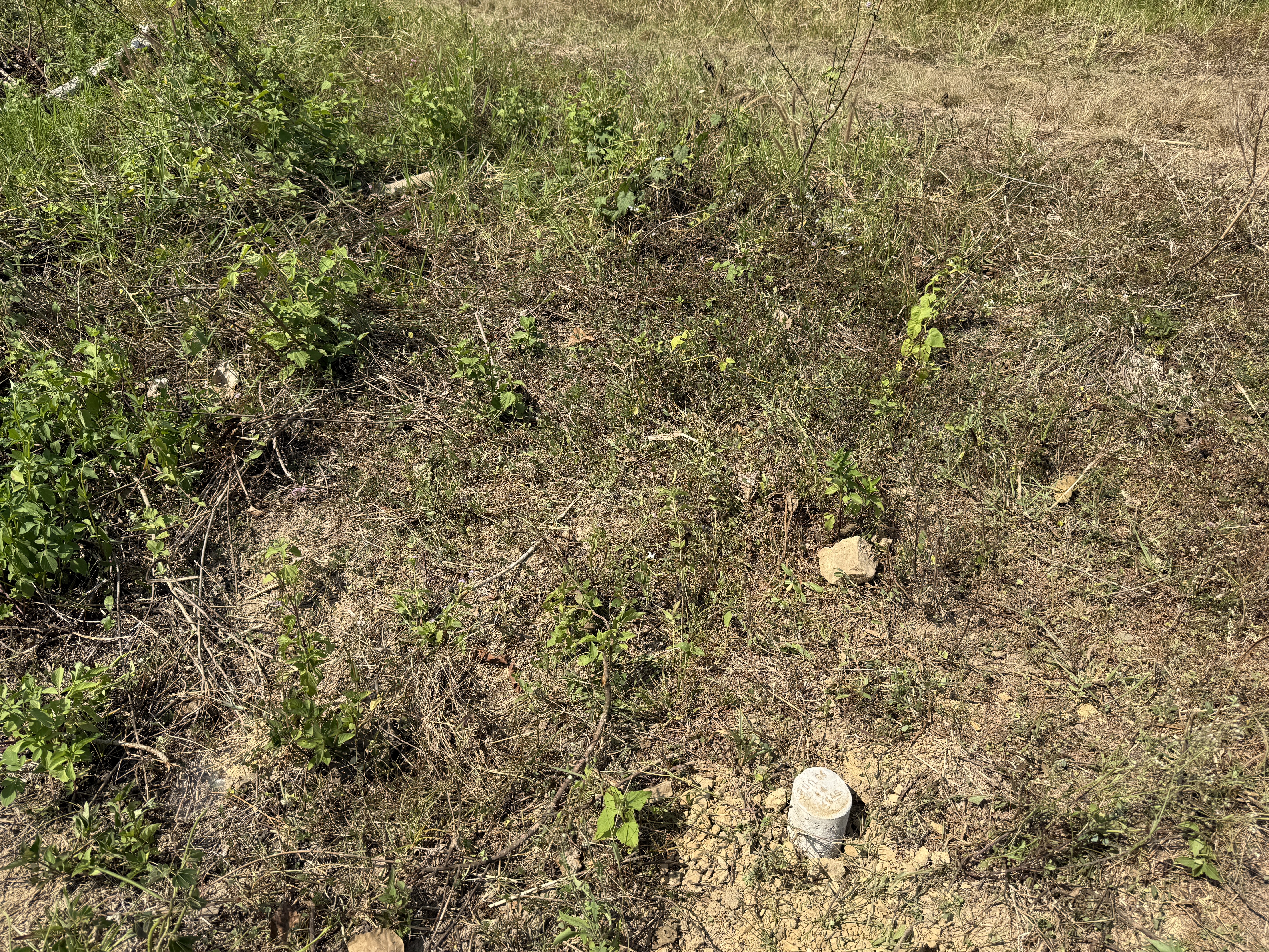 title - วันจันทร์ที่ 19 มกราคม 2569 นายนิกร ไพริน ปฏิรูปที่ดินจังหวัดชุมพร มอบหมายให้ นายพิษณุ บุญแนบ ผู้อำนวยการกลุ่มงานช่างและแผนที่ พร้อมด้วย เจ้าหน้าที่ ส.ป.ก.ชุมพร ลงพื้นดำเนินการรังวัดที่ดิน 